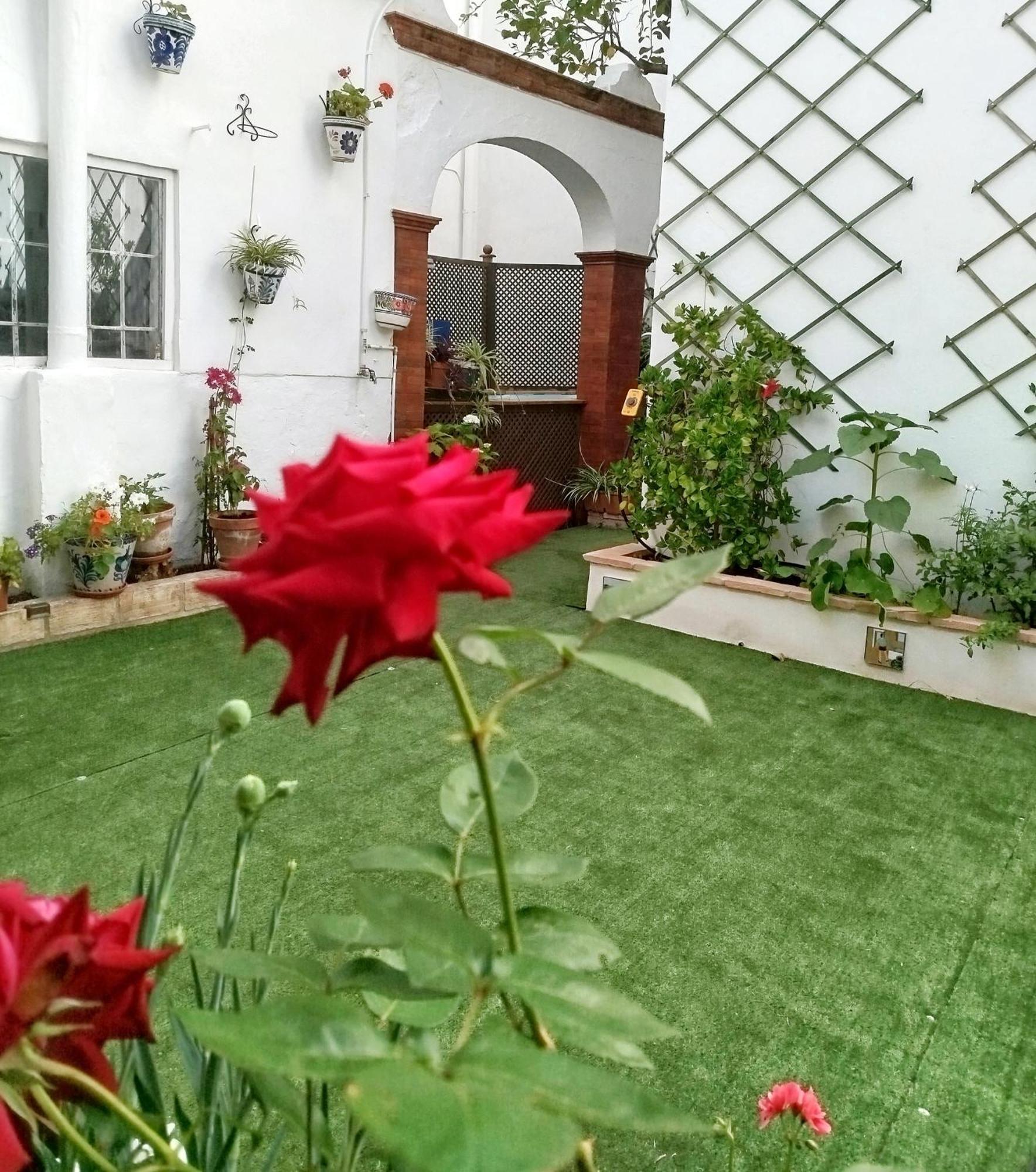 Casa Palacio Domus Astigi (Adults Only) 에치야 외부 사진